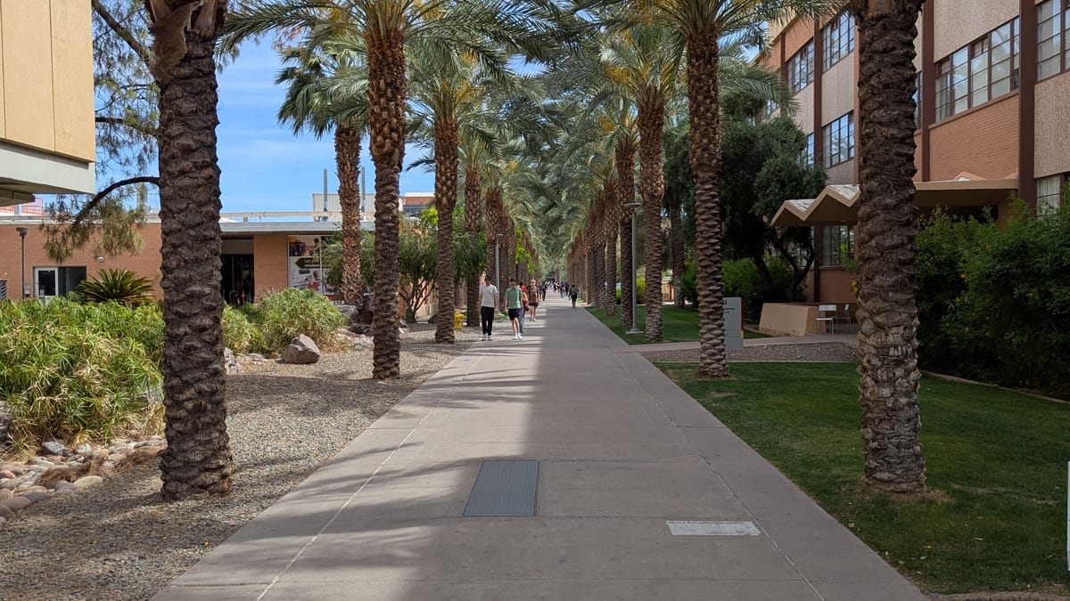 Palm Walk at Arizona State University Tempe campus